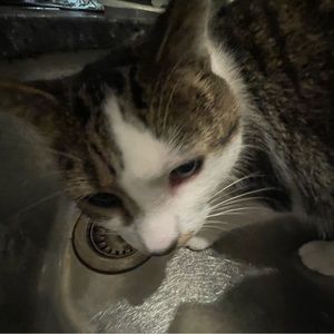 Meet your Posher, Mj